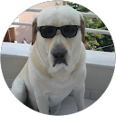 Savvas M. profile picture